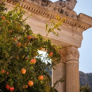 Meet your Posher, Jordyn